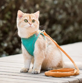 ARNES PARA MASCOTA